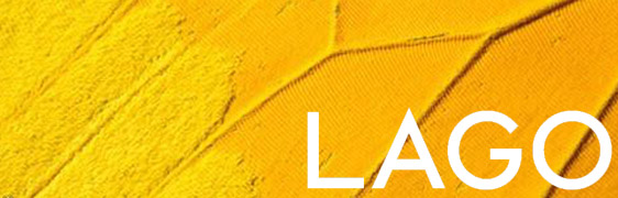 Lago