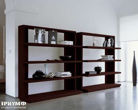 Итальянская мебель Longhi - Шкаф книжный Status 500