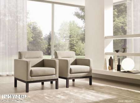 Итальянская мебель CTS Salotti - Кресло модерн из дерева и шёлка, модель Francy