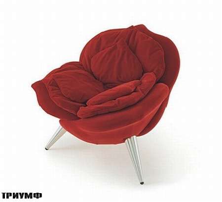Итальянская мебель Edra - кресло Rosa Chair