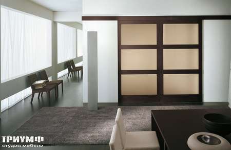Итальянская мебель Longhi - Дверь раздвижная Shadow Tris