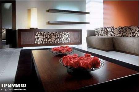 Итальянская мебель Rattan Wood - Комод Shiny, диван Lotus