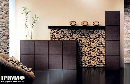 Итальянская мебель Rattan Wood - Шкаф Bloom-45B