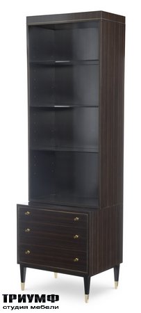Американская мебель EJ Victor - chester bookcase